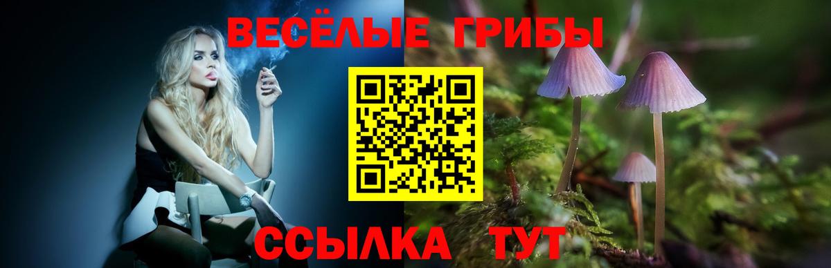 Нарьян-Мар  Псилоцибиновые грибы мухоморы  цена   Вход с VPN 